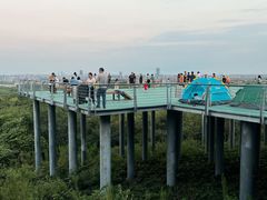 -南京老山国家森林公园