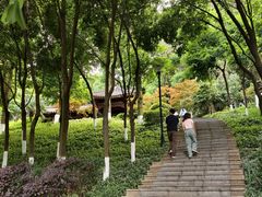 -龙头寺公园