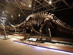 -世界恐龙谷景区