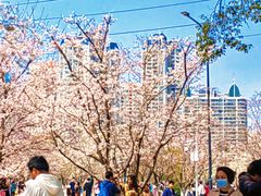 -西北湖绿化广场