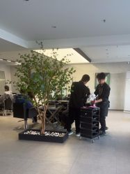 -付军剪艺JF ProSalon
