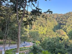 -火炉山森林公园