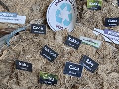 -大象粑粑造纸公园