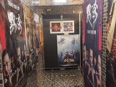 -枫花园汽车电影院(朝阳公园店)