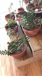 -简法造型·品牌形象店