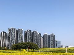 -光明小镇欢乐田园