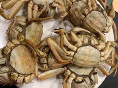 螃蟹-蓝钻·国际美食海鲜自助百汇(西直门店)