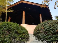 -菊花台公园
