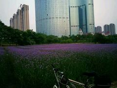 -艾溪湖湿地公园