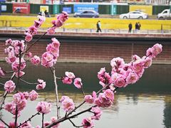 -望江楼公园