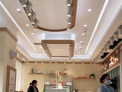-蒲公英(五里店)