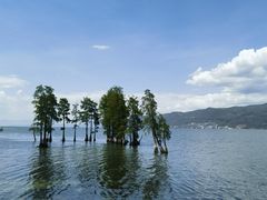 -大理洱海