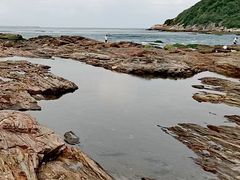-盐洲岛