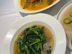 -圆苑(静安寺店)