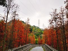 -梅峰山地公园