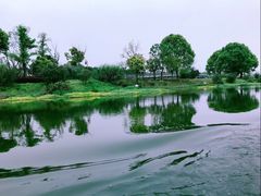 -三垟湿地