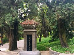 -黄帝陵
