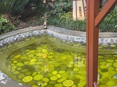 -杭州第一世界大酒店·云曼温泉