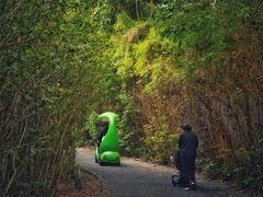 -华侨城湿地公园