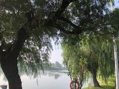 -莱西月湖公园