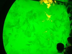 -沈阳海洋探索中心