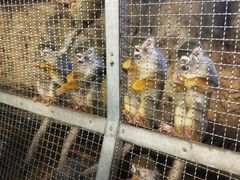 -成都浩海立方海洋公园