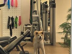 -YCHL Studios健身工作室(市二宫店)