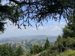 -苏木山森林公园