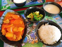 泰国黄咖喱牛腩套餐-雨林餐厅(长隆海洋王国店)