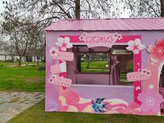 -东湖磨山景区樱花园-停车场