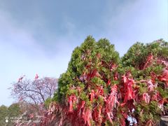 -秦岭终南山世界地质公园翠华山景区