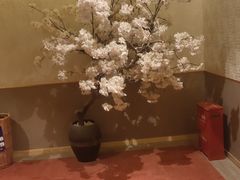 -极乐汤(川沙店)