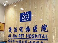 -爱佳宠物中心医院24H·CT·骨外科·猫专科(瑶海万达店)