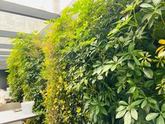 -巴厘龙虾·榜首油焖大虾(洞庭·艺术洋房店)