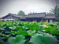 -莫催咖啡