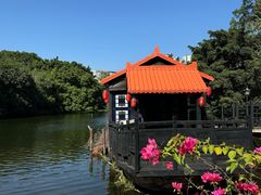 -侨美·唐荔园·40年地道粤菜