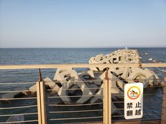 -东疆建设开发纪念公园