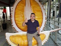 -都念榴莲·城市榴莲