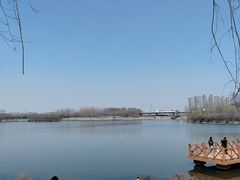 -丁香湖公园