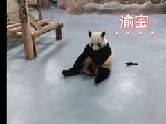 -无锡动物园·太湖欢乐园