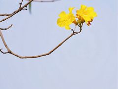 -盈香心动乐园