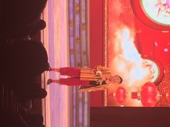 刘老根大舞台(正阳街分部)-大舞台剧场