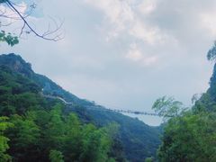 -宁波五龙潭景区