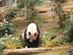 -香港海洋公园