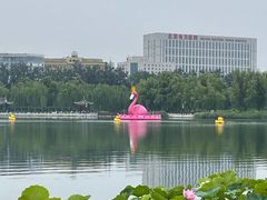 -莲花池公园