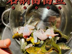 -石锅苗苗鱼(武汉首店)