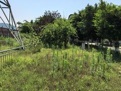 -天赐温泉