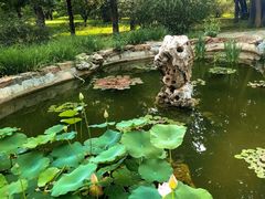 -国家植物园南园