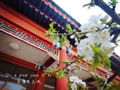 -居庸关长城