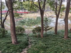 -美兰湖景区